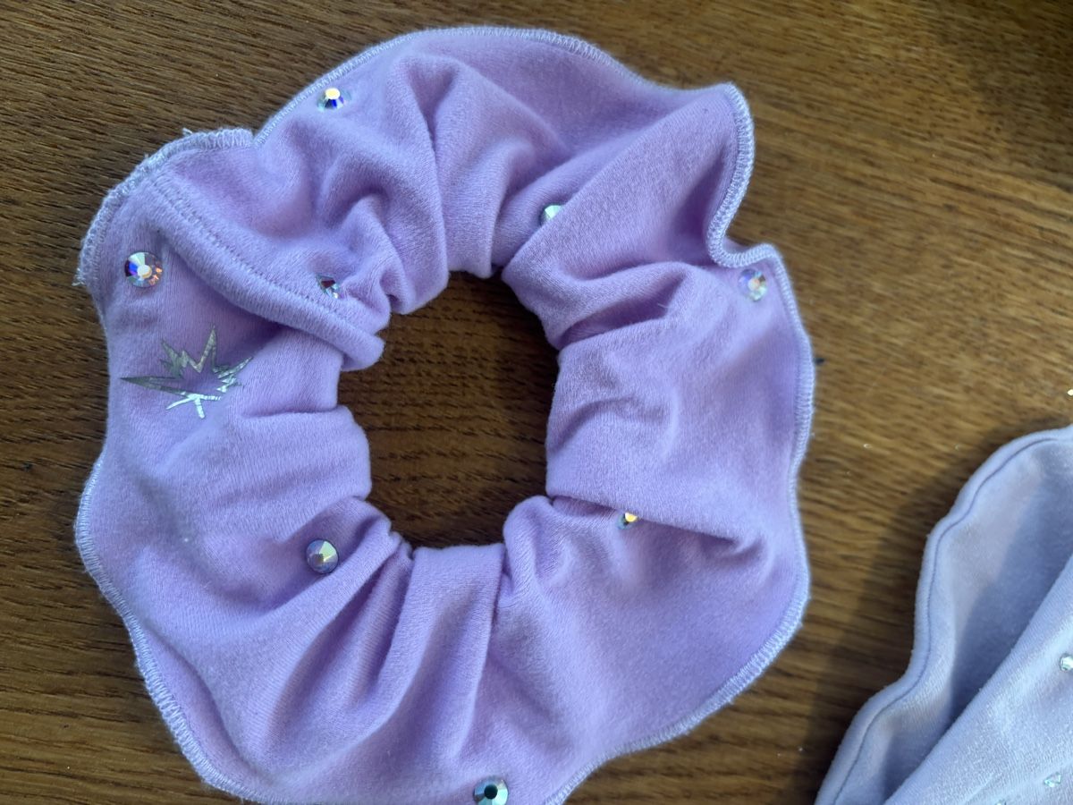 Lotti & Set di vestiti: Sagester Set -Lila Eiskunstlauf – Usato da Rüti ZH venduto da Crystal_Bloom 5