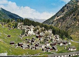 BOSCO GURIN