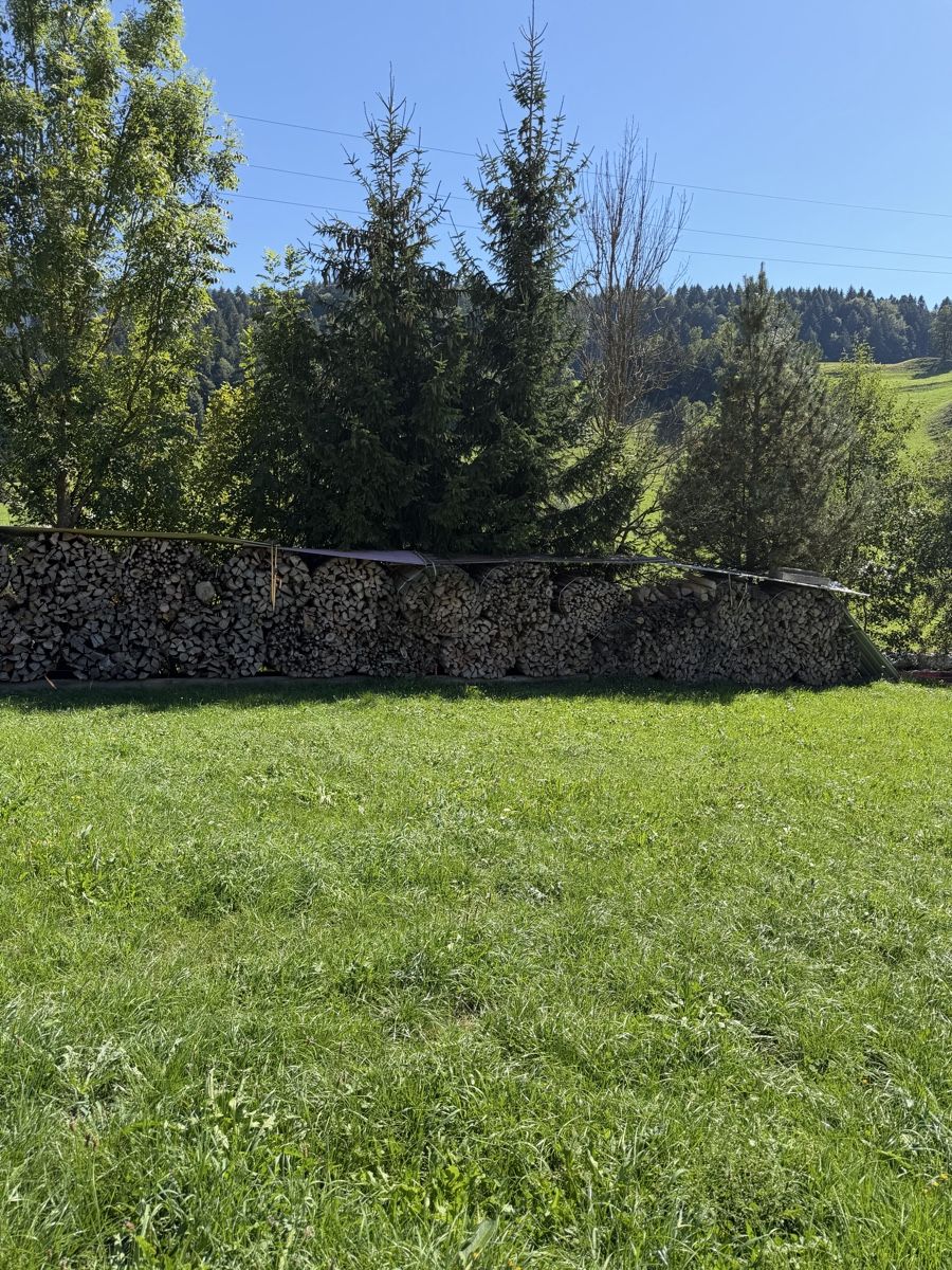 Articoli in legno: Brennholz in Sterbündel  – Usato da Escholzmatt venduto da Angelo8110 2