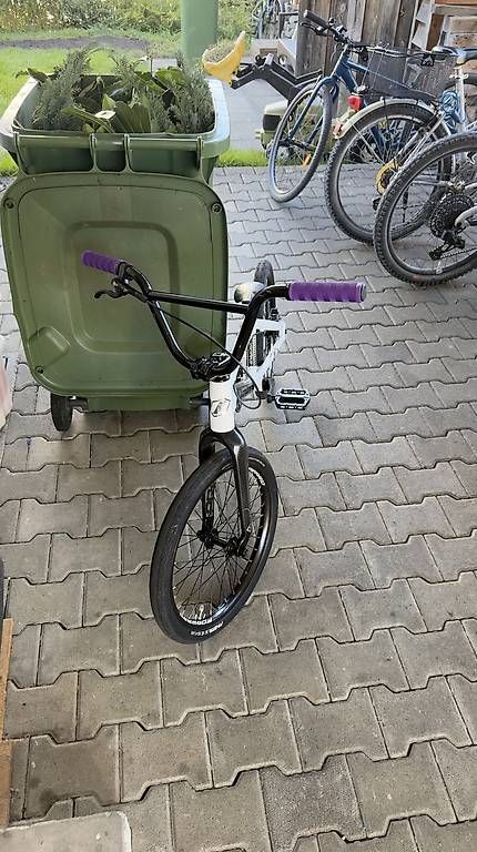 Biciclette: Inspyre Evo Disk Pro Race BMX – Usato da Flawil venduto da Luk_h9sx 2
