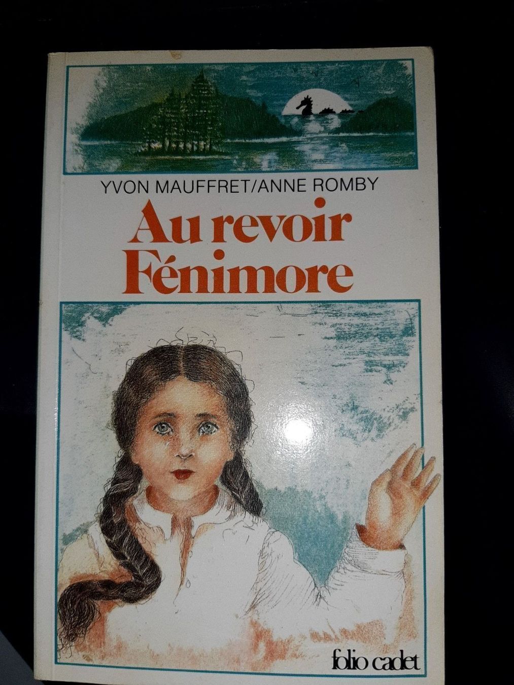 Libri: Au revoir fenimore – Usato da Le locle venduto da juliensaran
