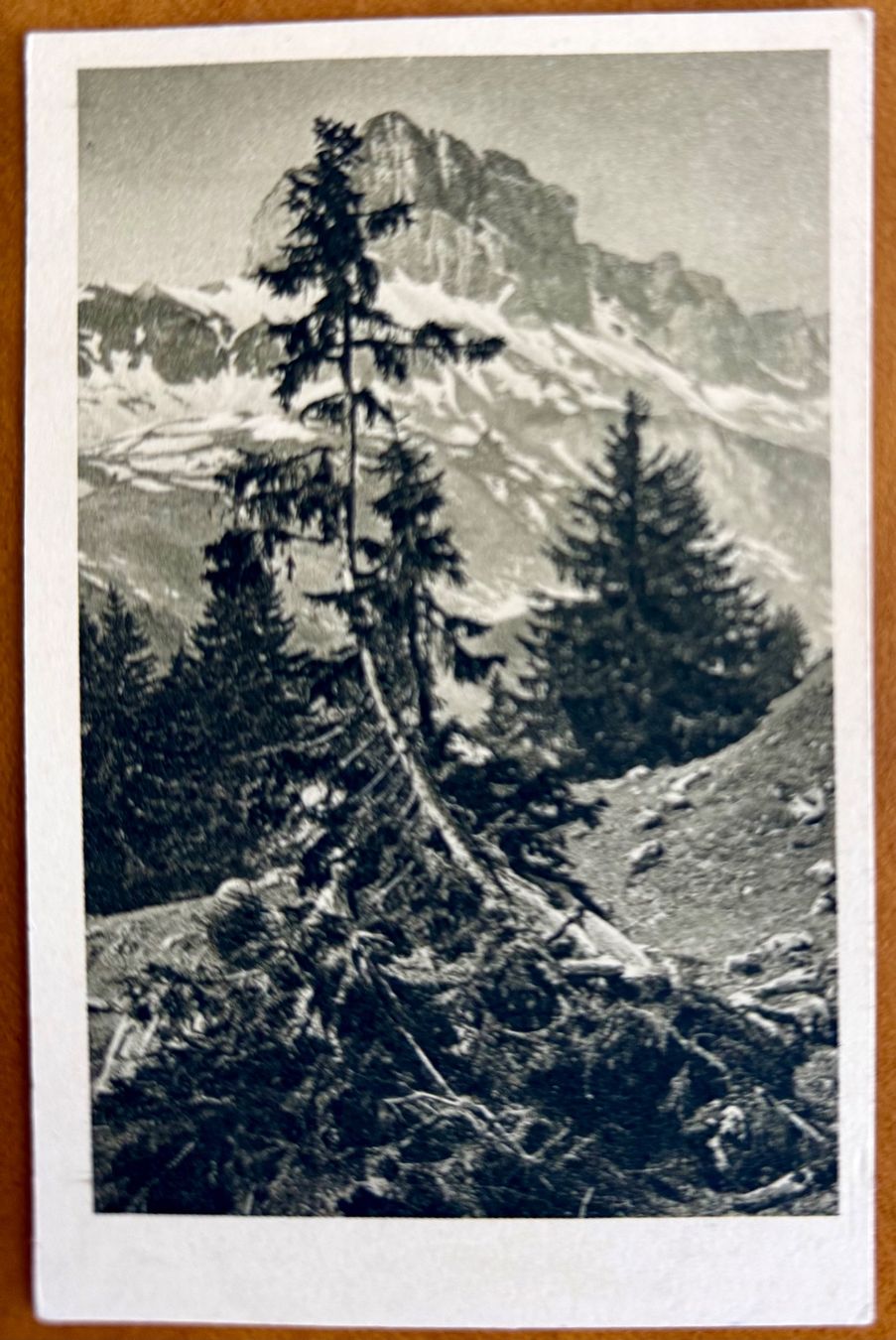 Cartoline postali: Braunwald - Mittelstaffel - AK – Usato da Lutry venduto da Ediego