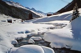 DAVOS Winterschönheit am Dischmabach