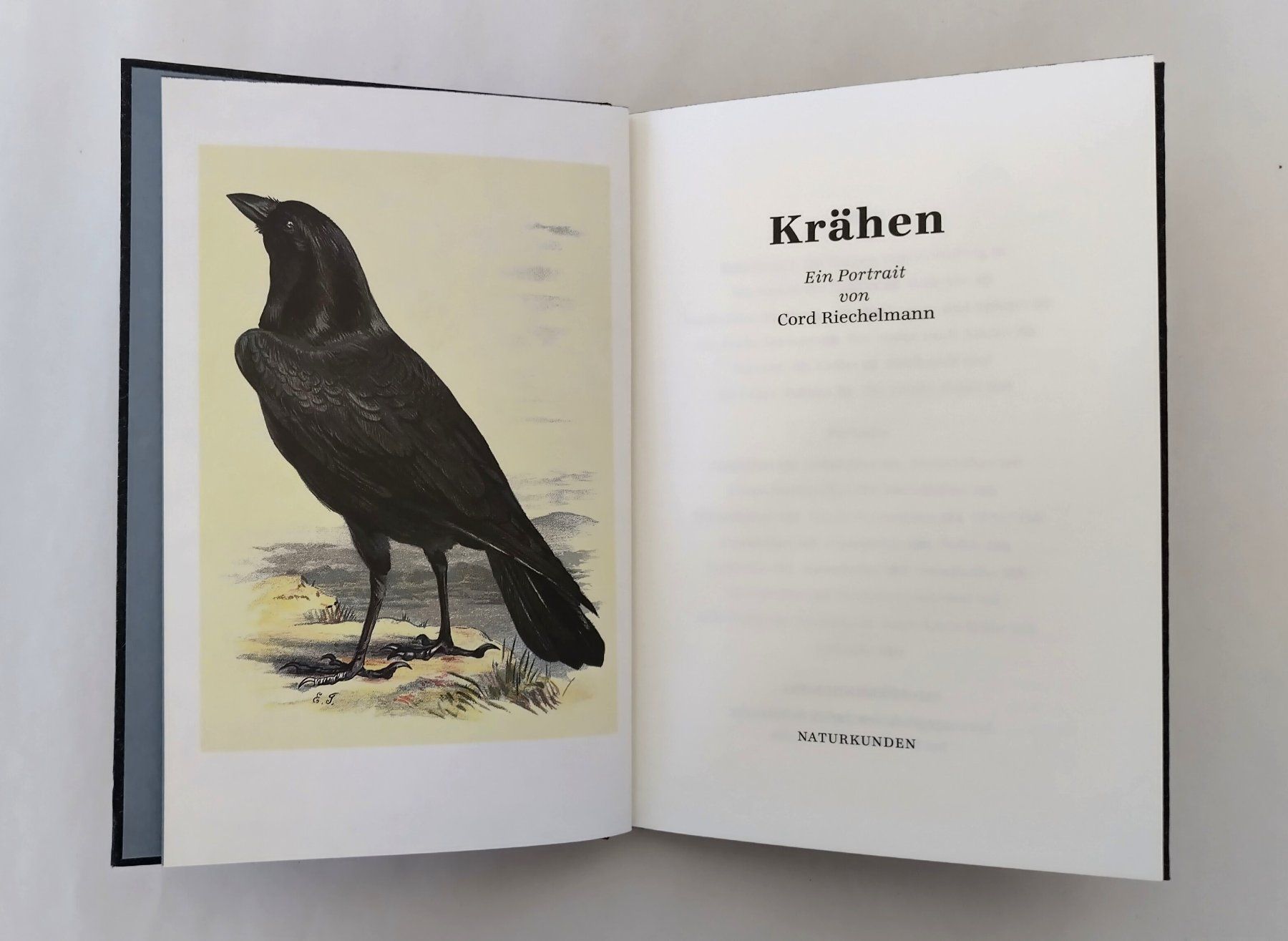 Libri: Krâhen - Ein Portrait / Vogel Buch 2013 mit 156 Seiten – Usato da Bellach venduto da JingleJerry 3