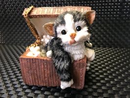 CHATON DANS UN COFFRET AU TRÉSOR, AVEC DES PERLES BLANCHES