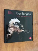 Der Bartgeier