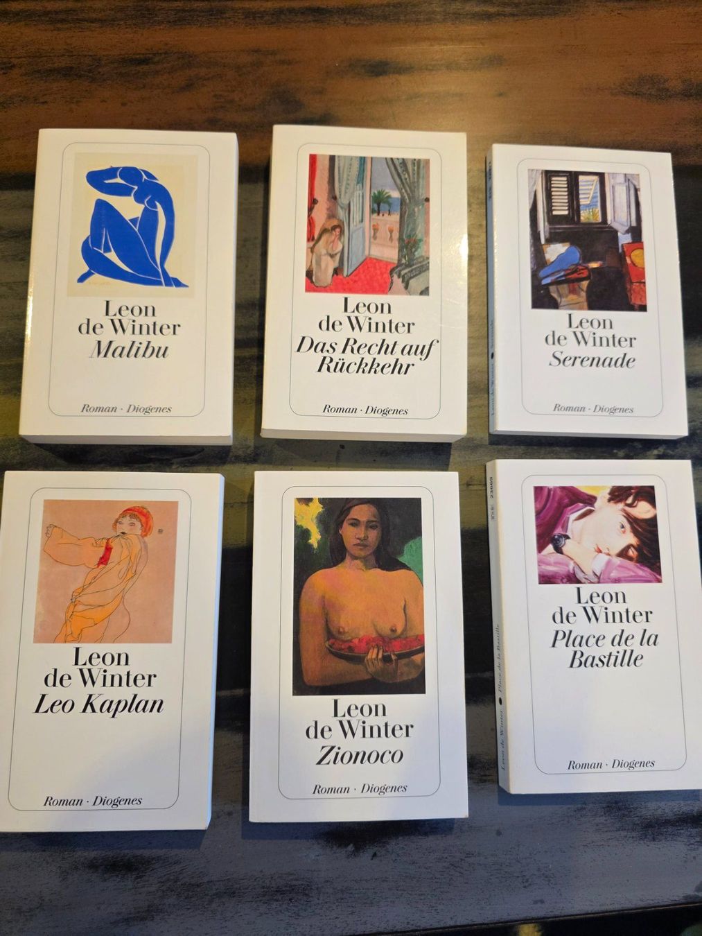 Bücher: Leon de Winter, 6 Romane, Diogenes, Top Zustand! – Gebraucht aus Herisau von Dinge-in-Bewegung 1