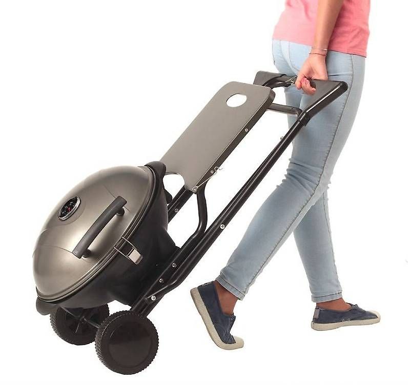 Griglie: Ohmex Barbecue Grill mit Trolley GRIL-3660 – Usato da Muri AG venduto da lindda 2
