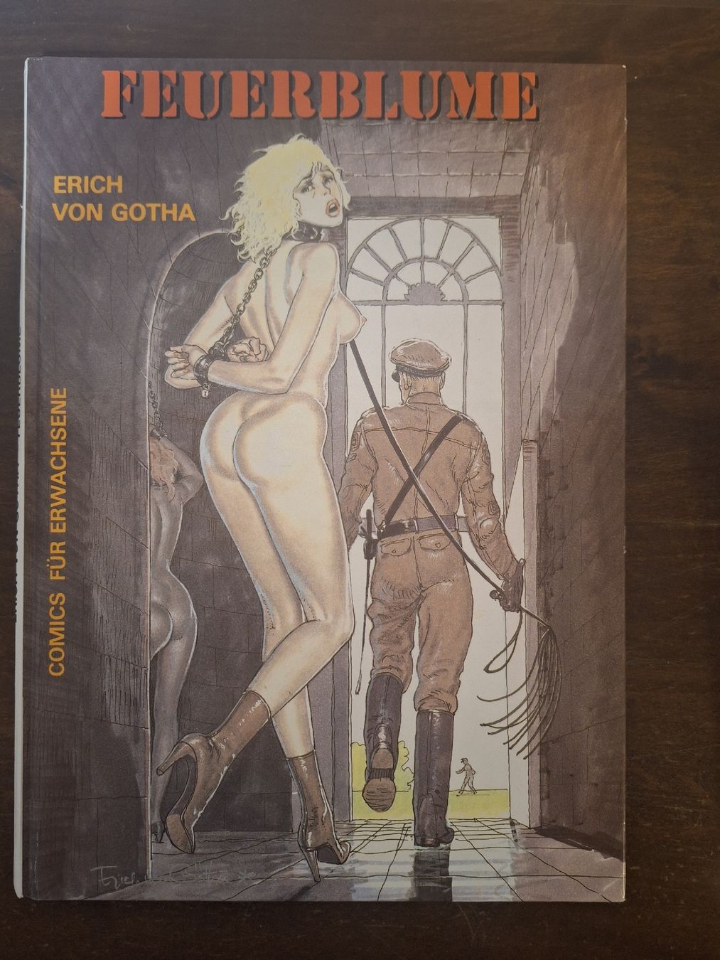 Comics: Feuerblume von Erich van Gotha – Gebraucht aus Fischenthal von Irene69