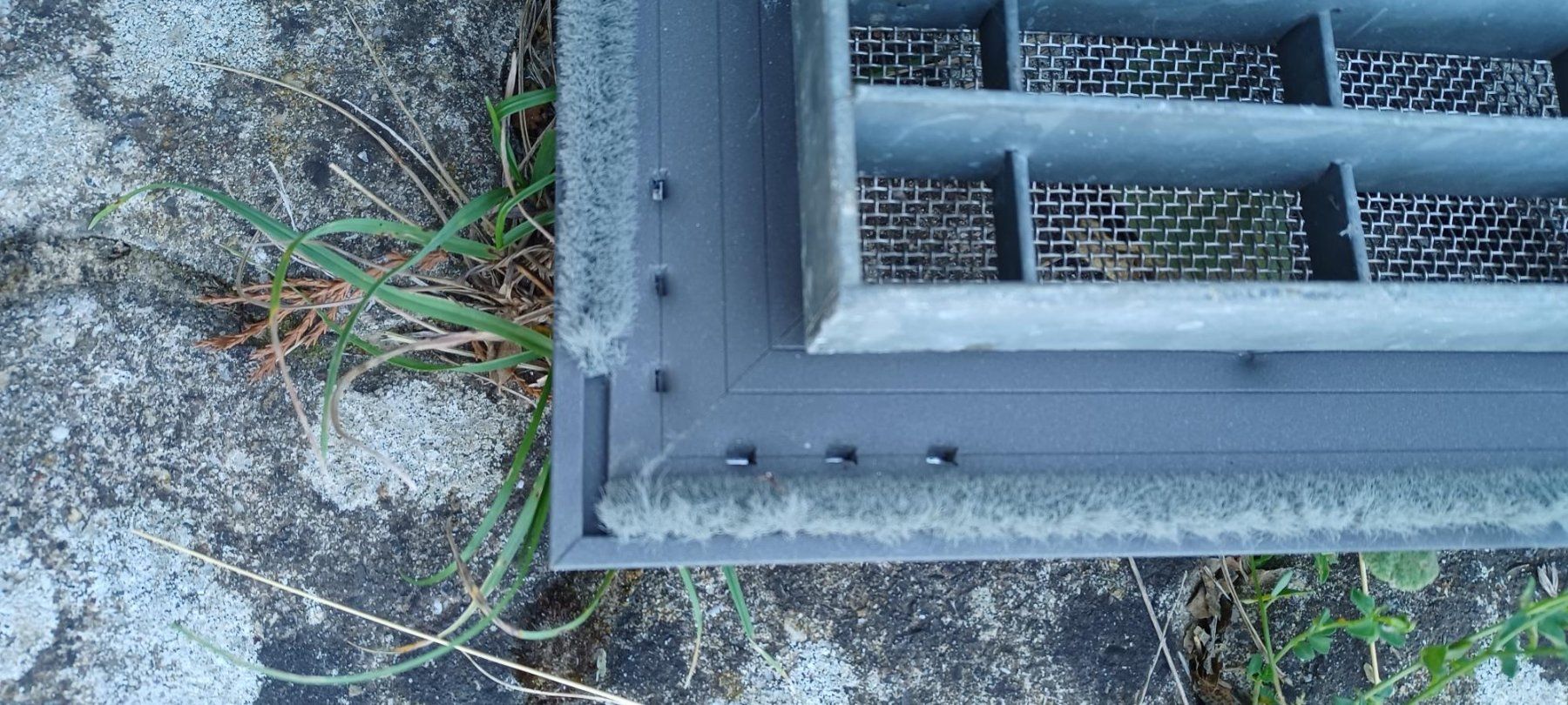 Griglie e Inferriate: Abdeckgitter für Lichtschacht – Usato da Müllheim Dorf venduto da Agami123 4