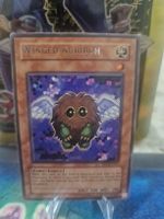 Yugioh Winged Kuriboh