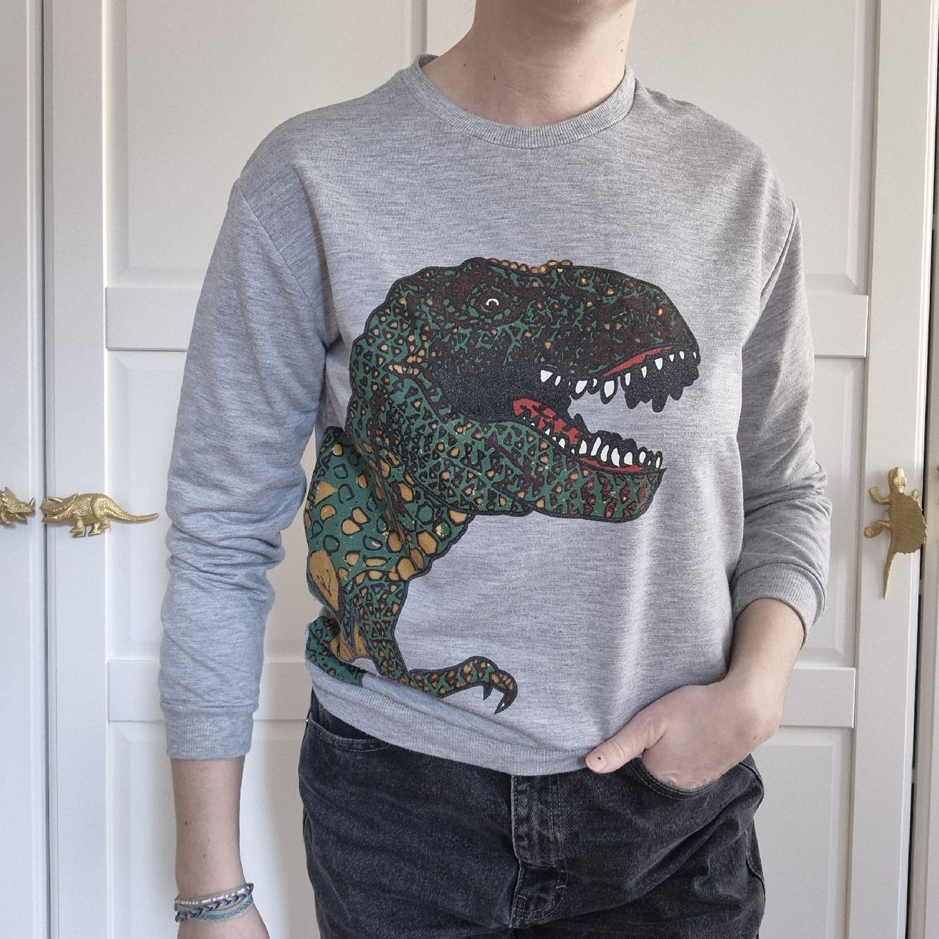 Maglioni & Felpe: Grauer Dino Pullover, Gr. S – Usato da Winterthur venduto da inkidaria