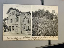 Alte PK Gruss aus Niederurnen - Kolonialwaren Steinmann 1910