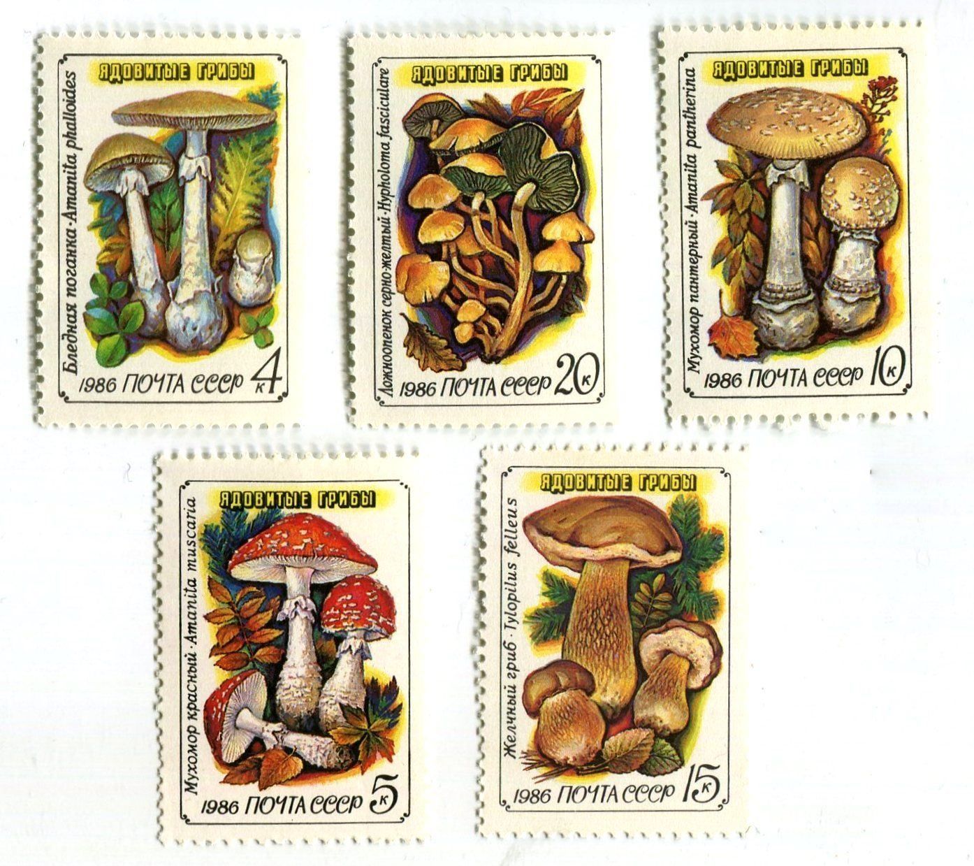 Alle Briefmarken: Briefmarken "Pilze". UdSSR. – Neu und originalverpackt aus Basel von Butsch5