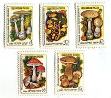 Briefmarken "Pilze". UdSSR.