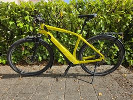 Specialized Vado 45km/h Defekt 