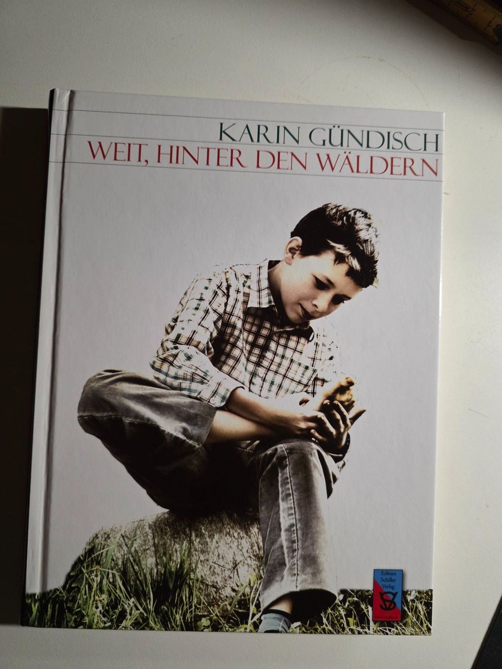 Bücher: Weit, Hinter den Wäldern - Karin Gündisch - 2010 – Gebraucht aus Walterswil BE von Lonitti