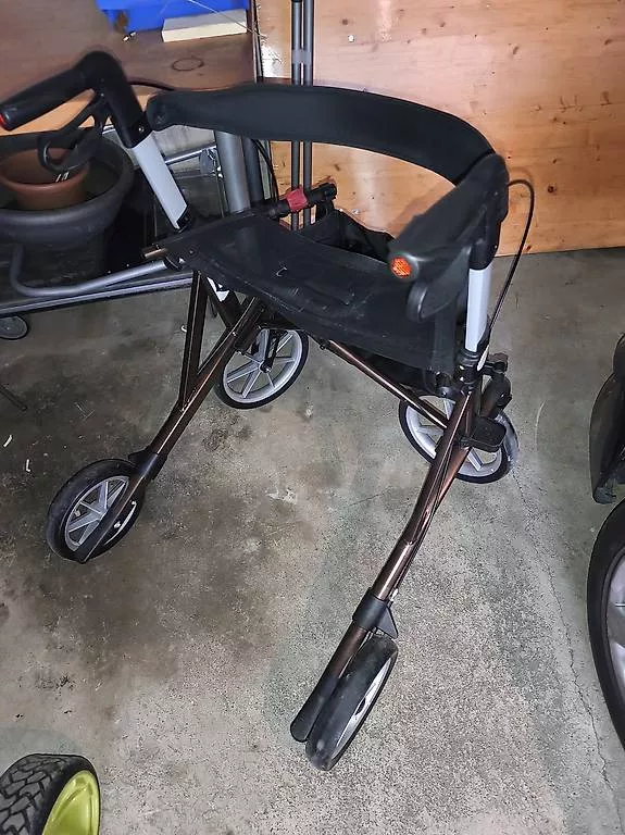 Ausili per la deambulazione: Rollator Lion – Usato da Thörigen venduto da lunafix