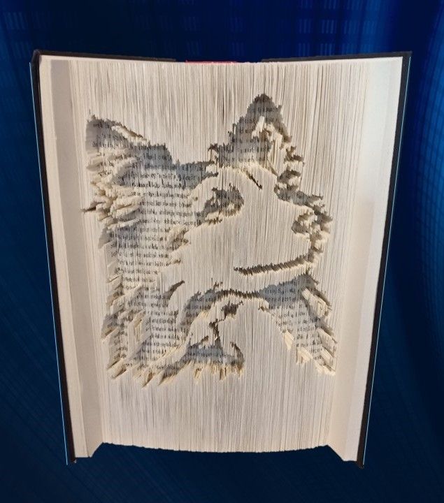 Libri: Buchkunst Hund, Katze, Pferd, Delfin, Geschenk – Nuovo e nell'imballaggio originale da Hausen AG venduto da Lothar64