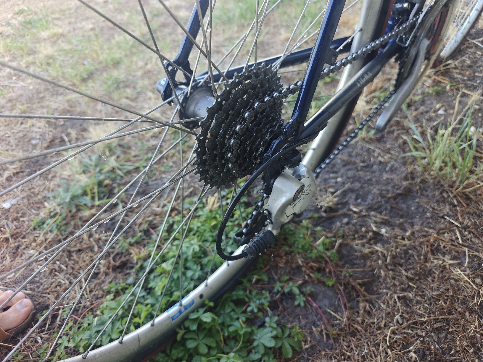 Velos: Vélo Tigra bleu – Gebraucht aus La Sarraz von 1712dan 5