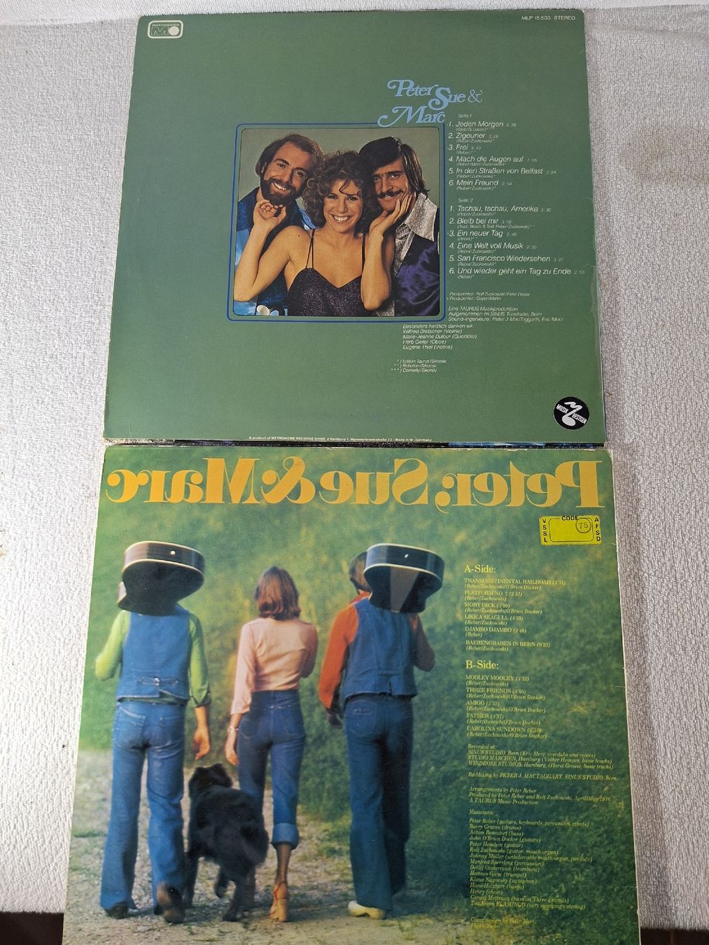 Dischi in vinile: 5 LP Schweizer Künstler  – Usato da Grindelwald venduto da carro5 4