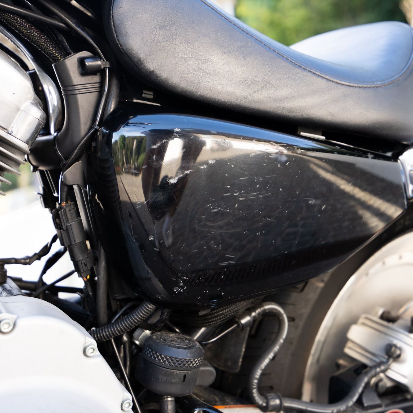 Harley-Davidson Chopper: Harley Davidson XL883 Custom – Gebraucht aus Herrenschwanden von Odin77 4