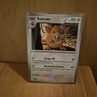Raticate POR EN 061/088 - Chaos Rising