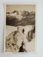 Steingletscher mit Fünffingerstöcken dat. 1938 belebt