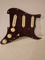 Fender Am.Professional I Completes Schlagbrett