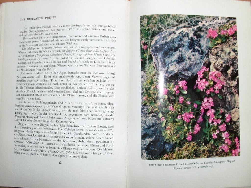 Libri: Unsere Blumen - Aloys Duperrex – Usato da Grenchen venduto da Kogi7 3