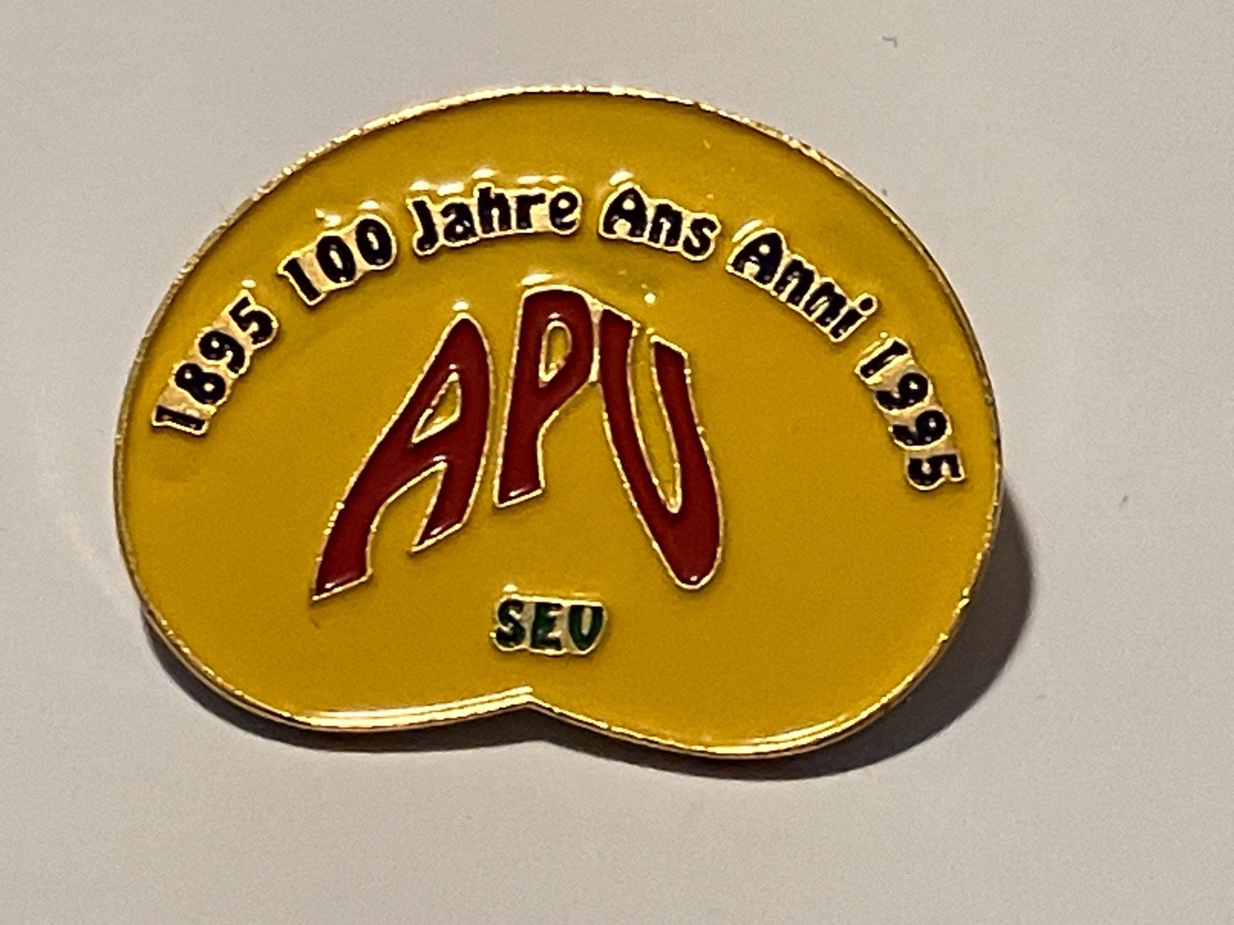 Placchette & Badge: 1 Pin APU 100 Jahre – Usato da Basel venduto da djwwpp