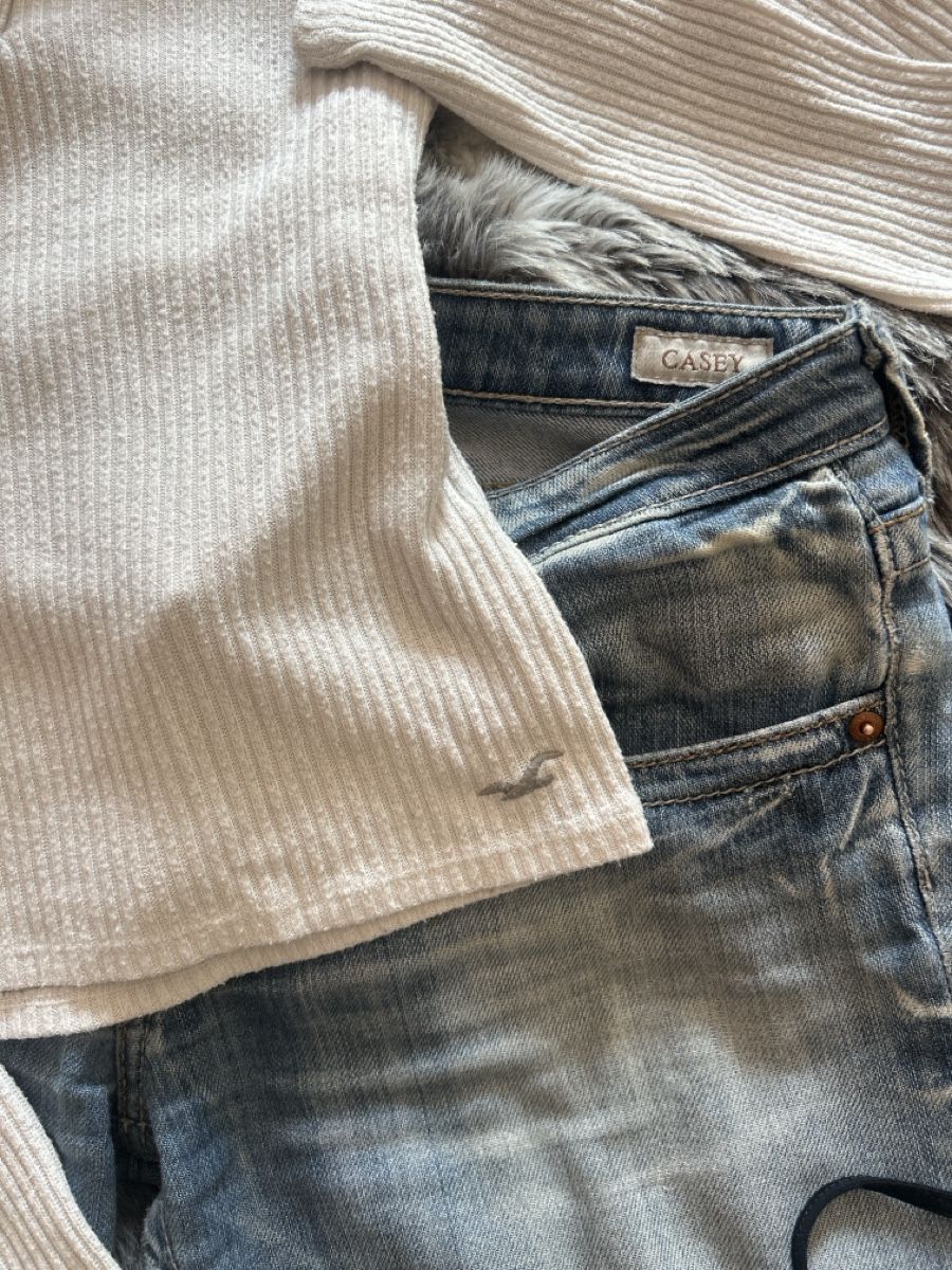 Hollister Top: Hollister longsleeve – Usato da Buchrain venduto da mer_2yht 2