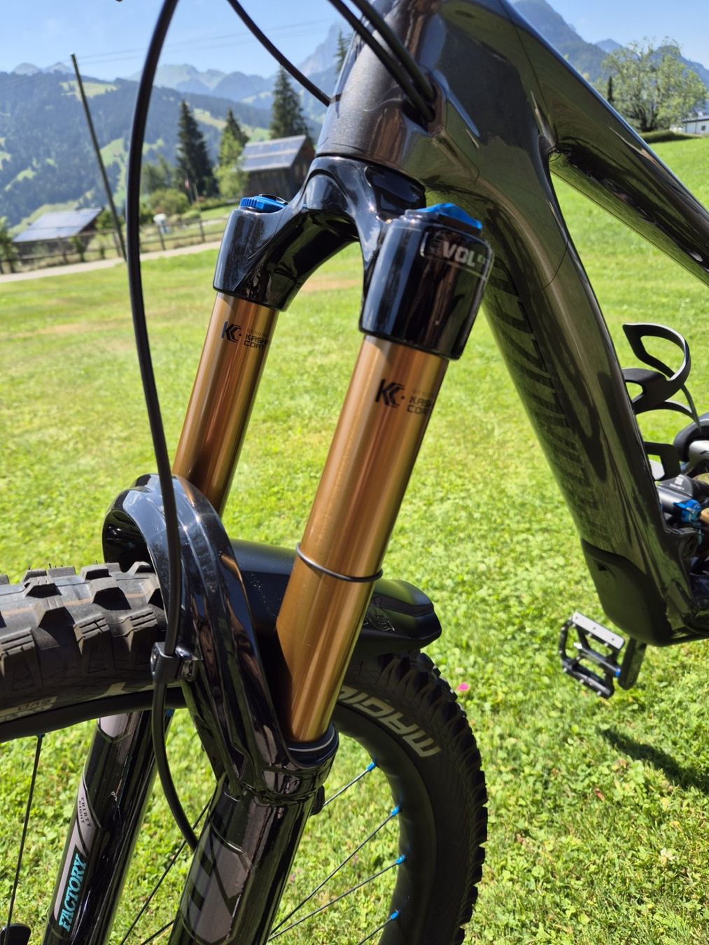 Specialized Velos: Specialized Enduro Custom, Top Bike – Gebraucht aus Gstaad von rha_2xfh 5
