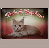 🔥 BRITISCH KURZHAAR Katzen Blechschild 🎀 20x30cm OVP 🔥