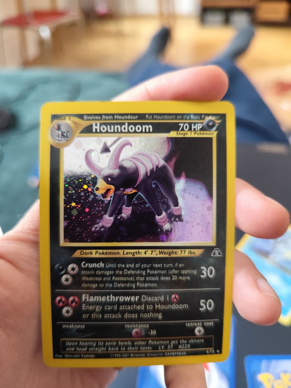Pokémon Carte collezionabili: Pokemon Karten Sammlung von 6 Stk. alt – Usato da Basel venduto da sd-profi 5