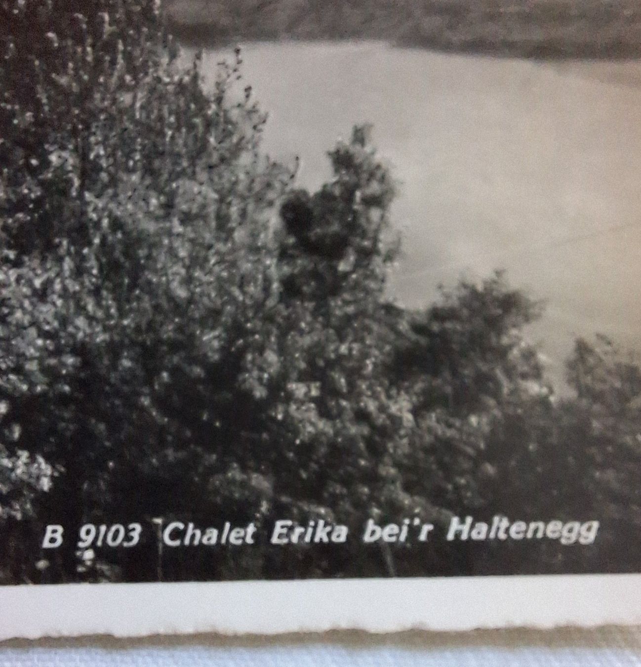 Cartoline postali: Chalet Erika Haltenegg 1943 – Usato da Lyssach venduto da Lyhuga 2