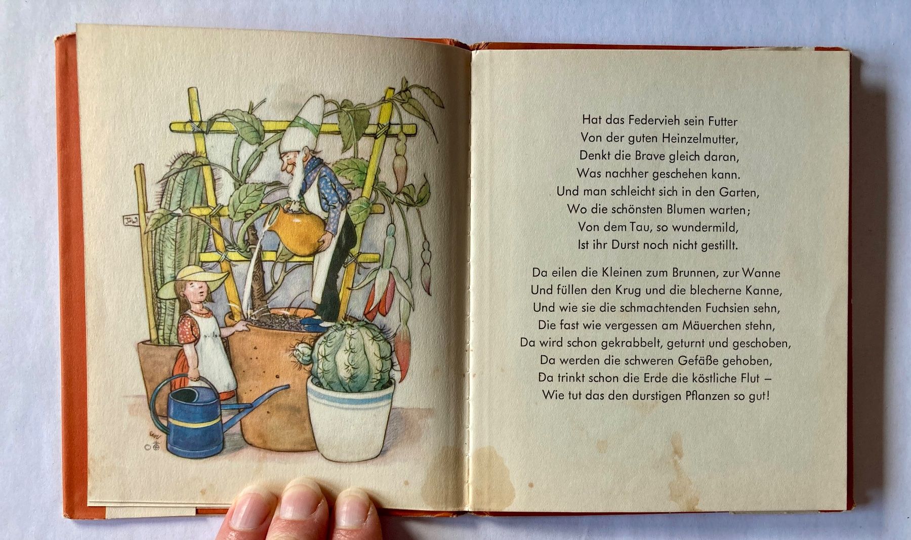 Libri: Heinzelvolk - Else Wenz - Vietor – Usato da Bubendorf venduto da Alpenheidi 5