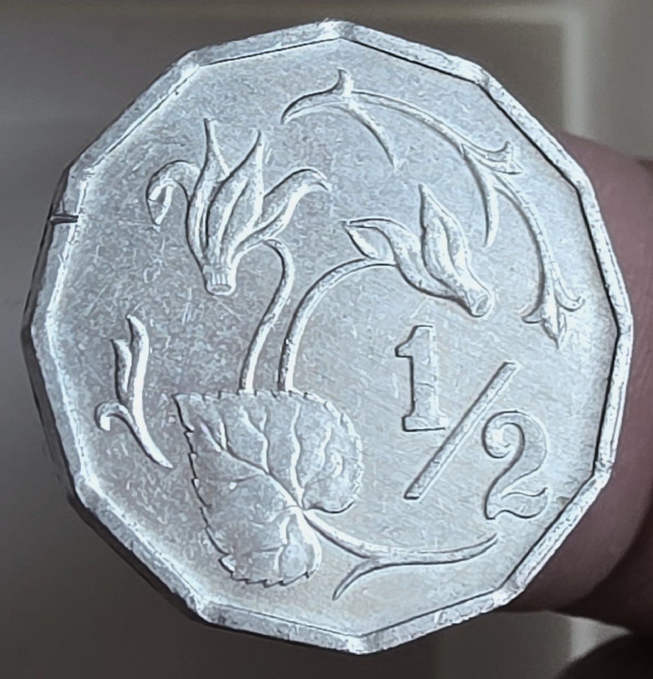Tutti le monete: ZYPERN 1/2 CENT 1983 – Usato da winterthur venduto da CoinPassion