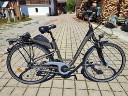E-Bike Crosswave 25km/h Lieferung möglich