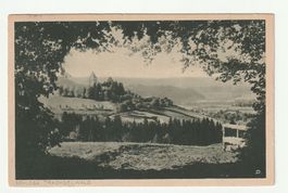Ansichtskarte 1924 Schloss Trachselwald mit Umrandung