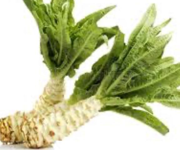 Piante & sementi: 20 SAMEN CELTUCE SPARGEL SALAT – Nuovo e nell'imballaggio originale da Rovio venduto da POSITIFFARTandPLANTS 1