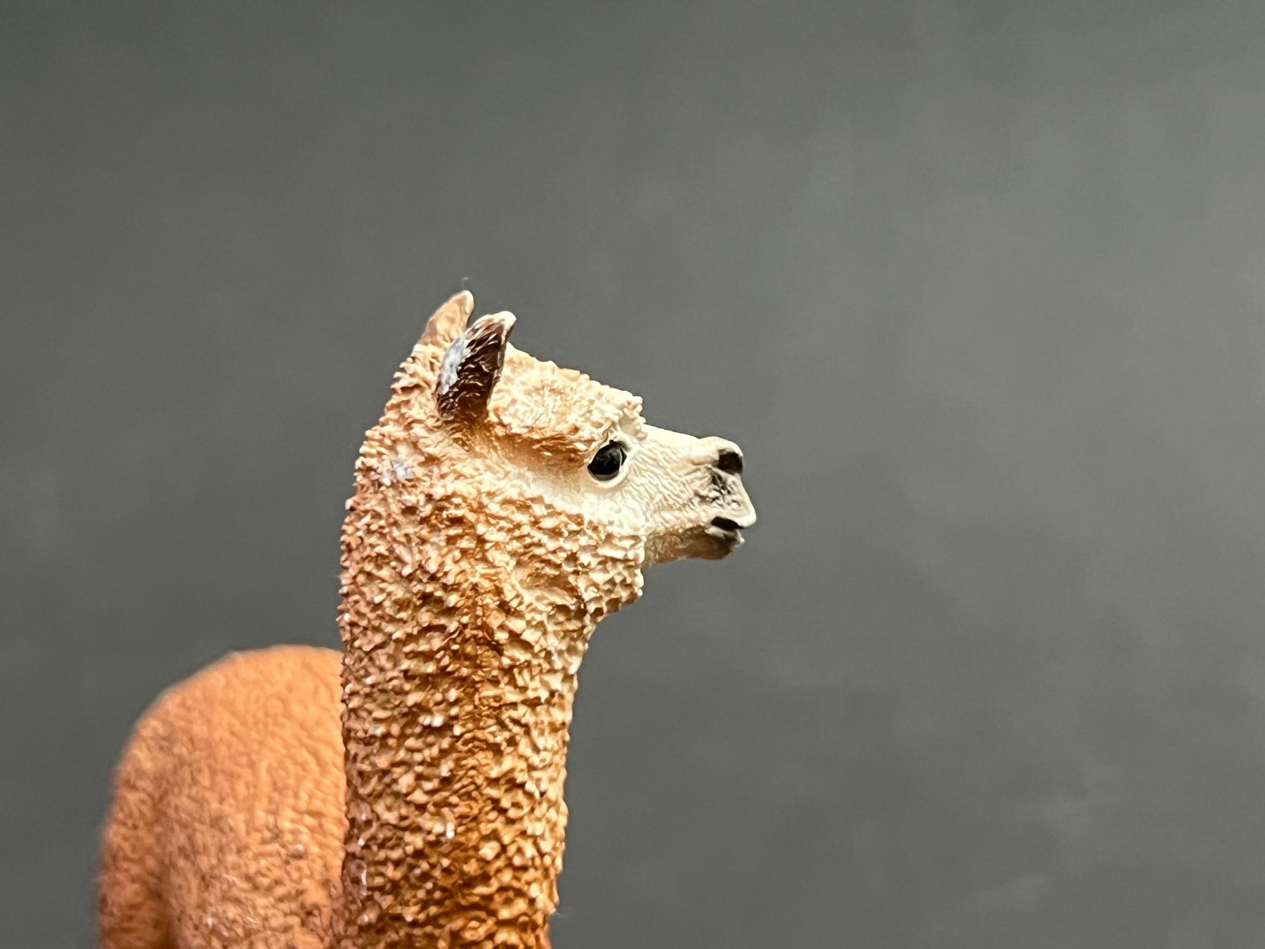 Schleich Statuette: Schleich 13703 Alpaka Hengst – Usato da Ennetbaden venduto da mapa05 8