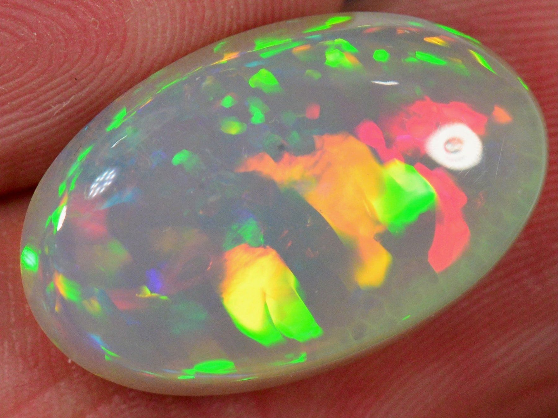 Edelsteine: 8 Karat - Brillianter Äthiopischer Welo Opal – Neu (gemäss Beschreibung) aus Rüti ZH von DeinOpal