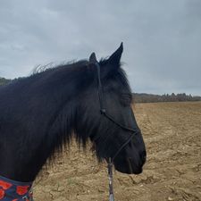 Profile image of nm_valea92
