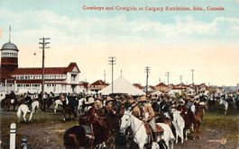 Calgary, Cowboys and Cowgirls, Pferde