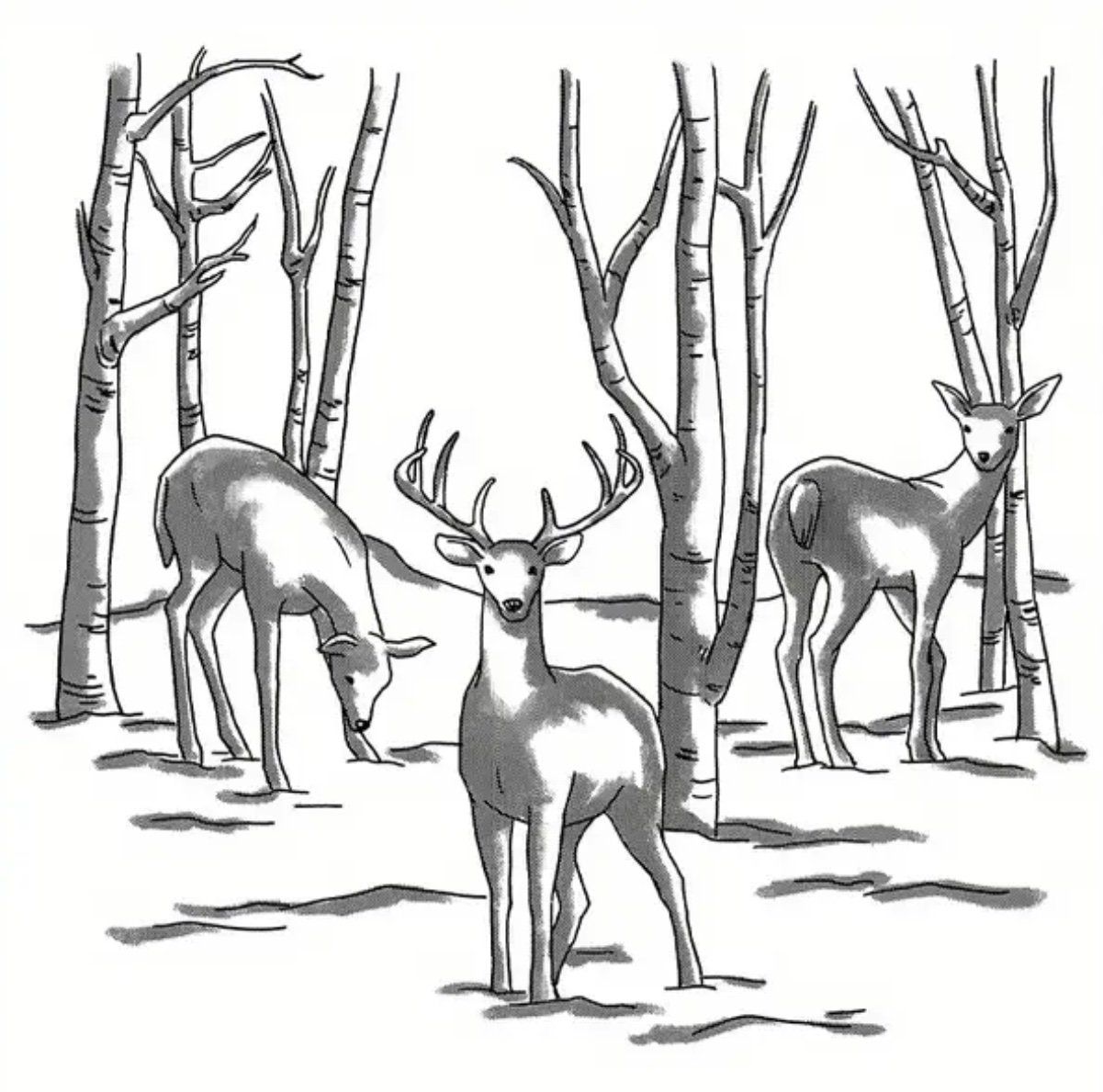 Stempel: Silikonstempel Wald mit Hirsch und Reh – Neu und originalverpackt aus Kaltbrunn von schere-stein-papier