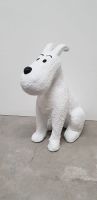 Tintin Hund
