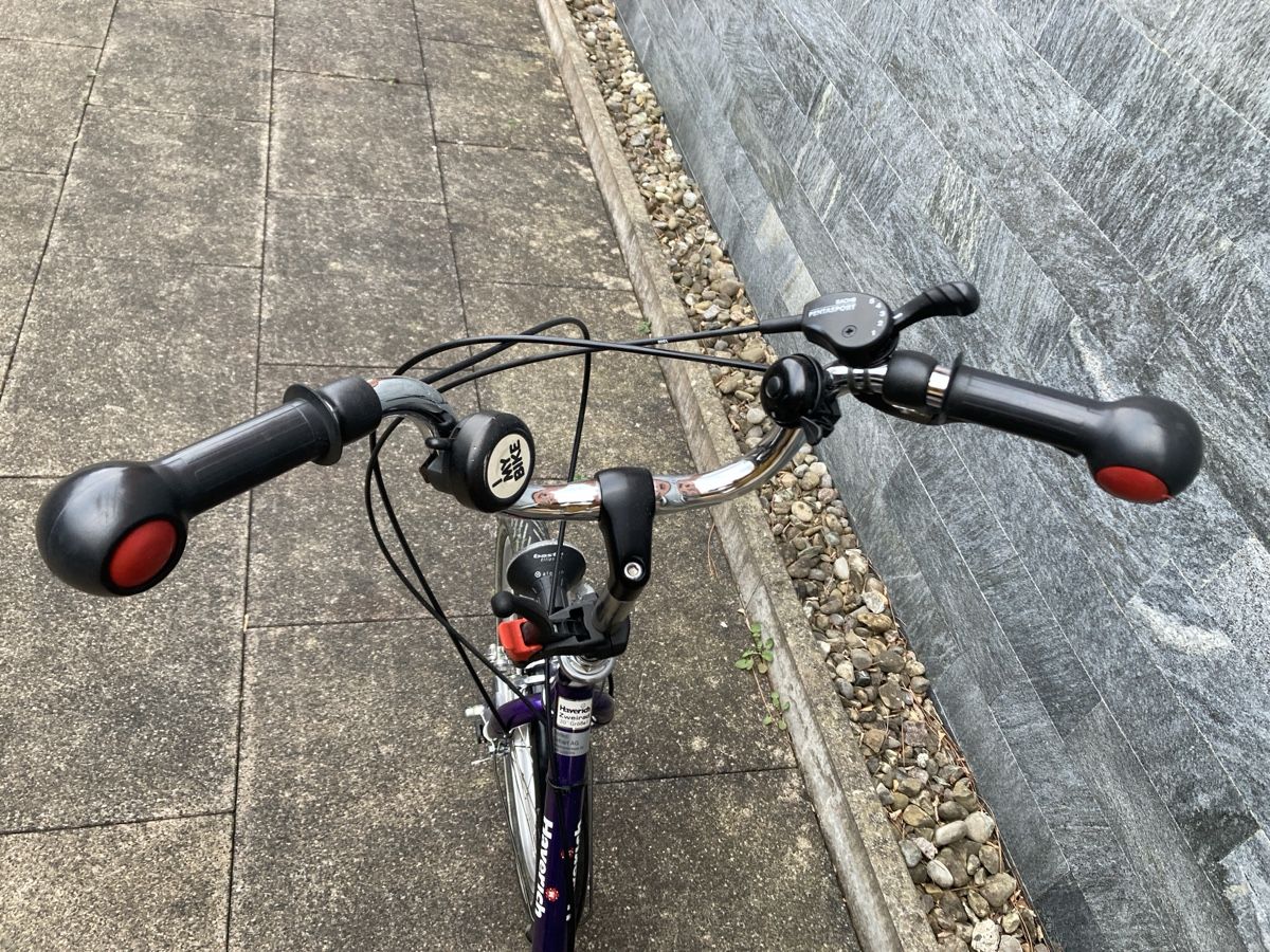 Biciclette: Haverich Dreirad  – Usato da Schlieren venduto da Sistersim 7