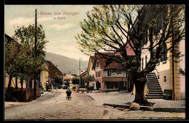 AK Wangen a. Aare, Straßenpartie mit Wohnhäusern