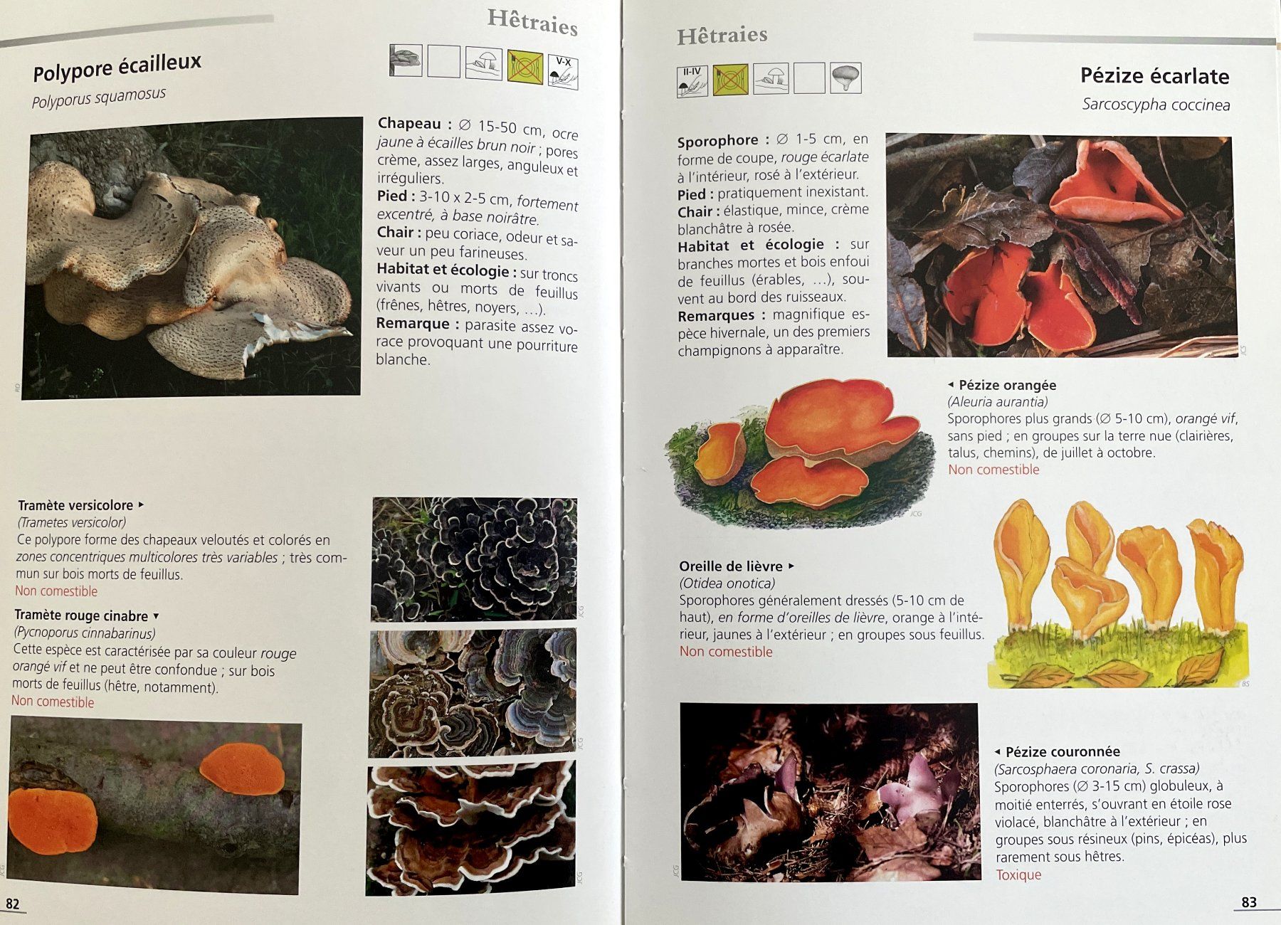 Libri: Champignons du Jura – Usato da Savagnier venduto da Ne2065 2